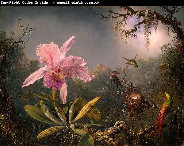 Martin Johnson Heade Cattleya Orchid and Three Brazilian Hummingbirds
